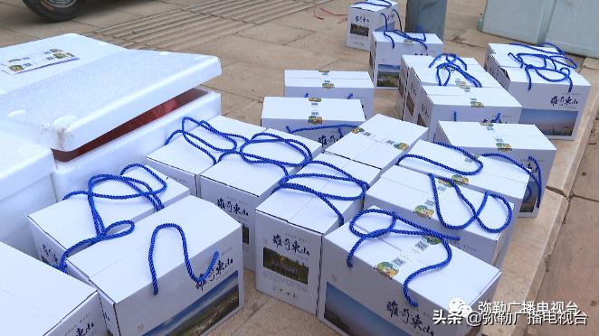 卖火了！弥勒紫色“将军芋”！政府包了