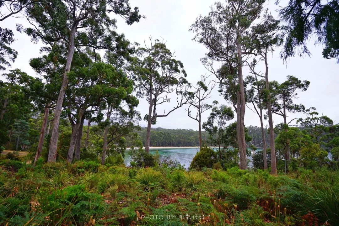 塔斯马尼亚幽灵之旅，夜访世界尽头190年历史闹鬼老监狱