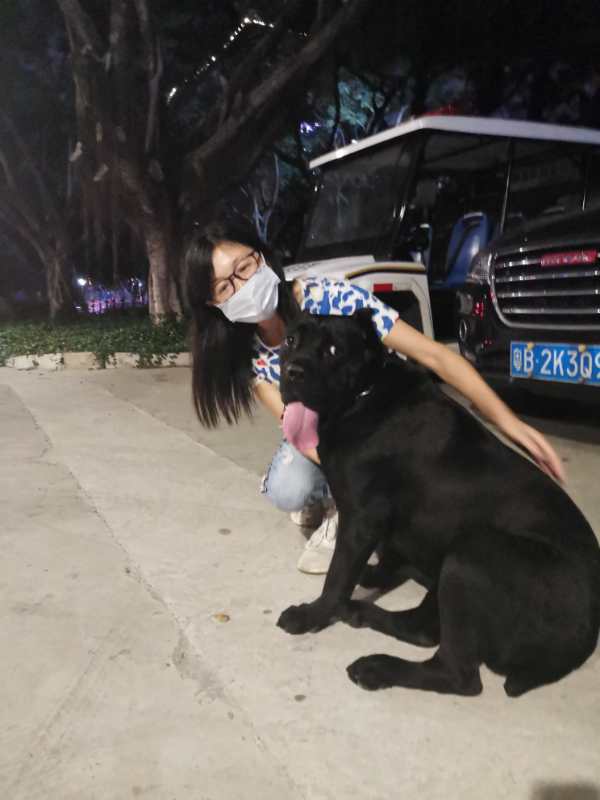 拉鼓带刀护卫,宝哥带刀护卫