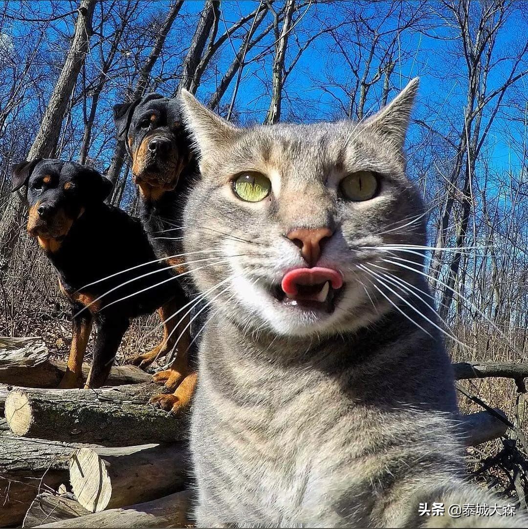 怎样提高法考刷题效率,如何刷题最快最有效率