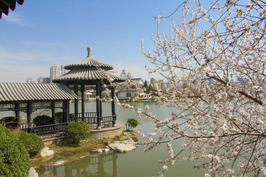 天津春暖花开西沽公园,天津开放的湿地生态公园