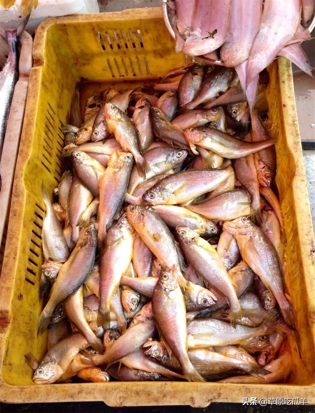 宁波地道的特色海鲜叫什么,宁波小海鲜都有哪些