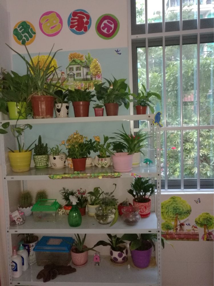 继往开来，绚丽“出彩”一一八桂绿城小学2018年工作汇报