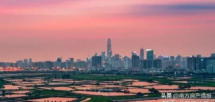 五十年前，他冒死从深圳湾游到香港，现在他后悔了