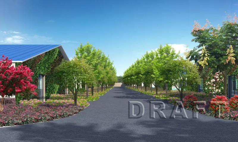 喜羊羊搭房子,喜羊羊搬新房