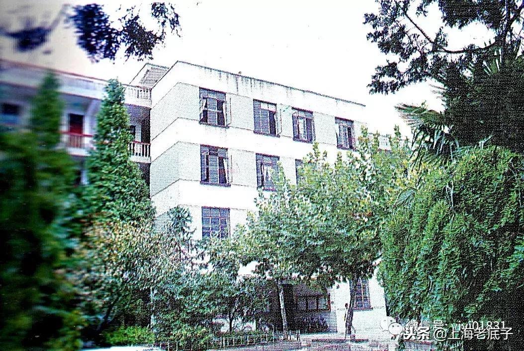 「南汇县篇」回望上世纪八九十年代的上海学校,有侬的母校伐?
