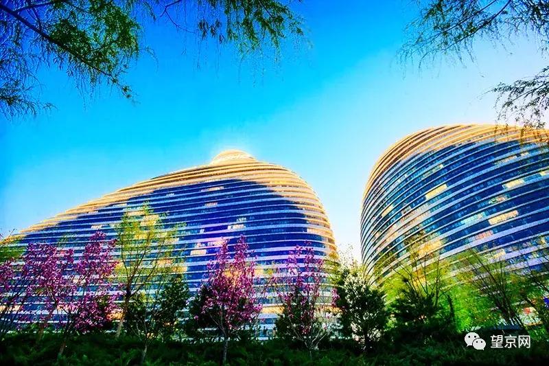 住在望京附近什么体验,家住望京