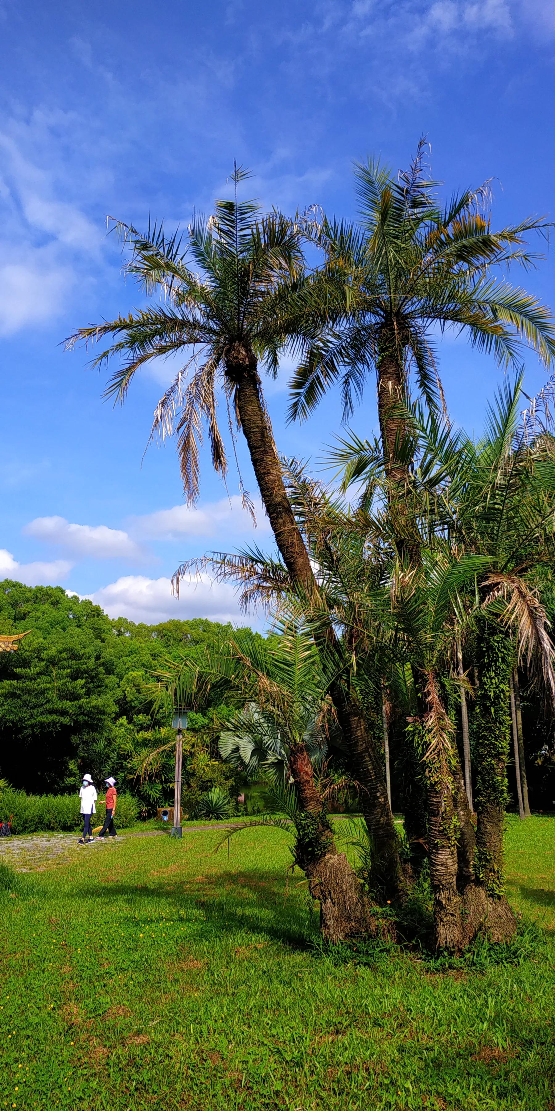 手拍世界手机摄影平台,手拍世界摄影交流平台