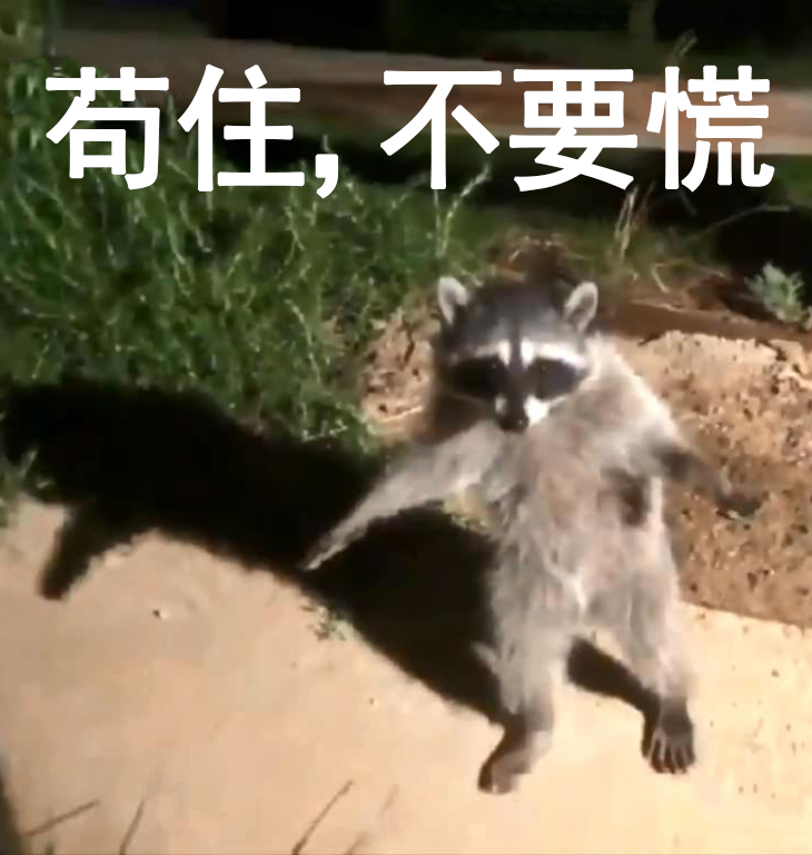 “你太苟了”表情包：做人就是要苟且偷生啦