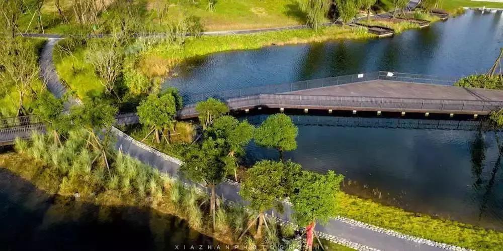 宛若美人卧成都，江家艺苑了解一下