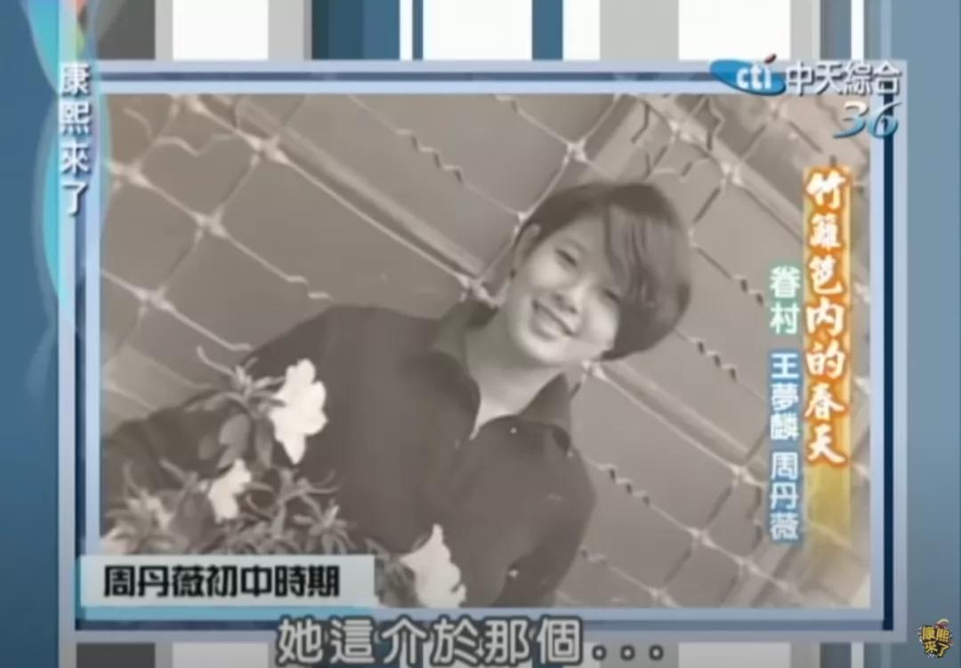 绝代佳人四大美,台湾90年代的五位绝色美人