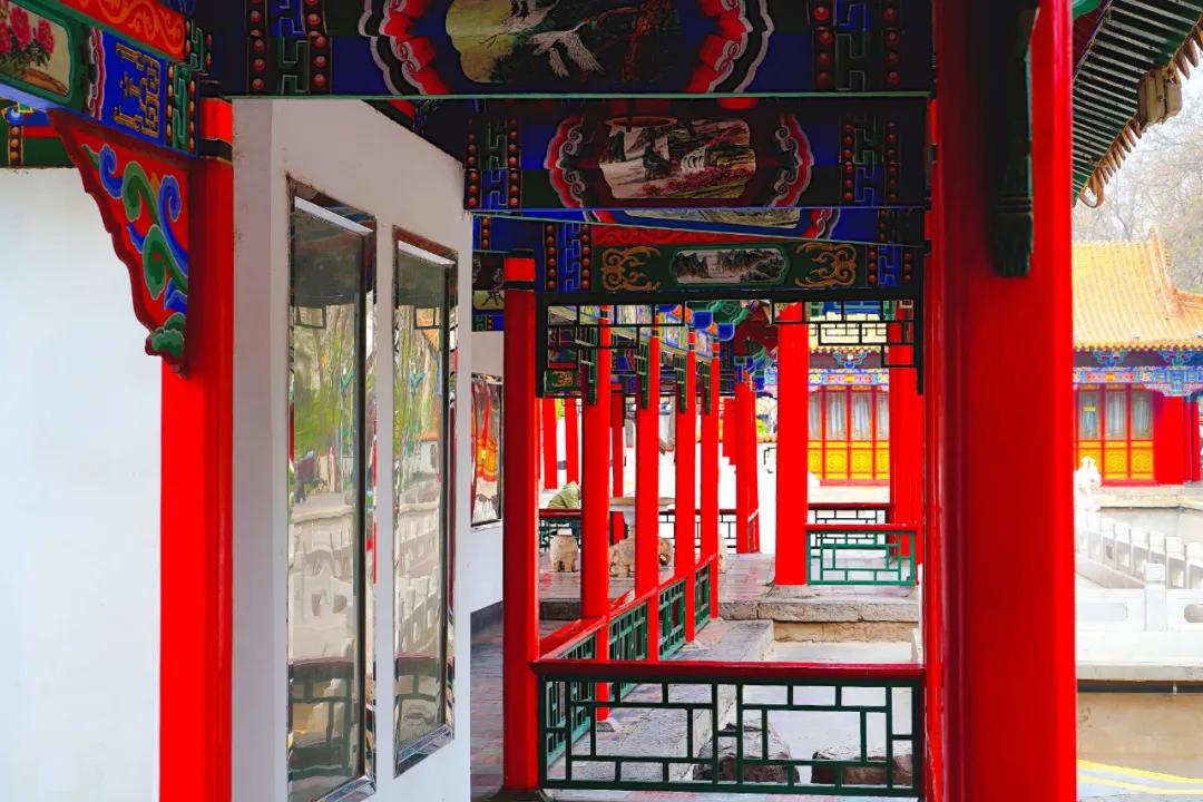 宁夏银川街心公园,银川兴庆区宁园门票多少