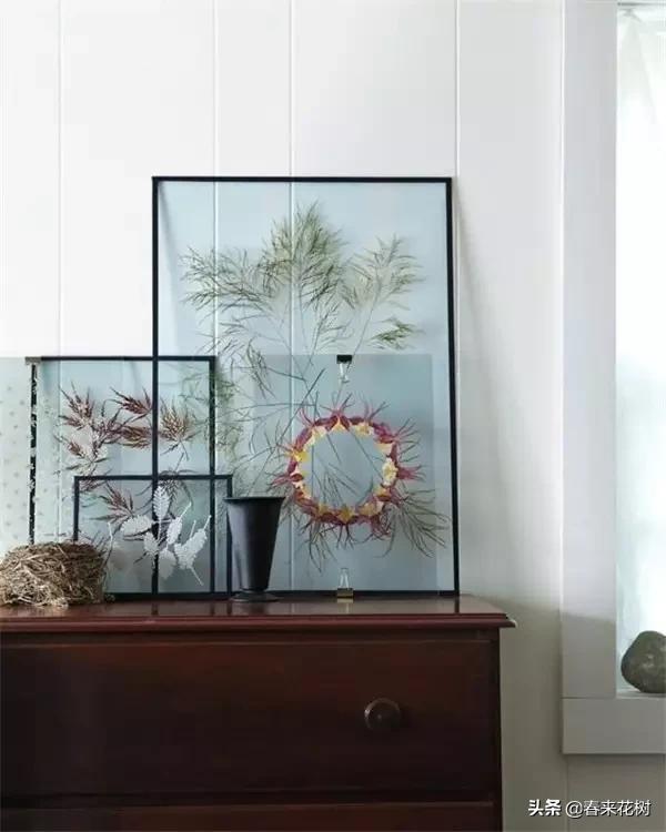 植物标本如何做简单又好看,植物能做什么手工