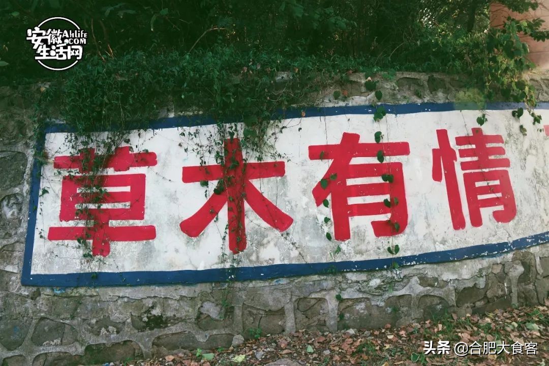 大蜀山爱情故事,大蜀山