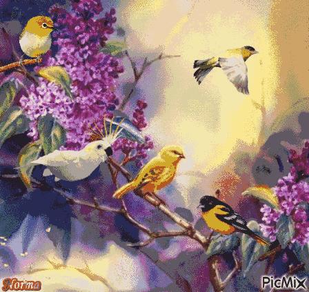 我的家庭相册书籍,我的家庭相册黑白人像