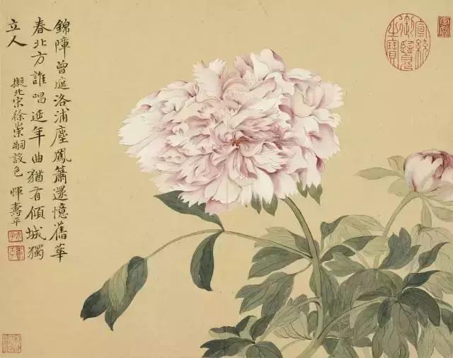 分享几组简单实用的写意花鸟画法,国画教程花鸟基本画法值得珍藏