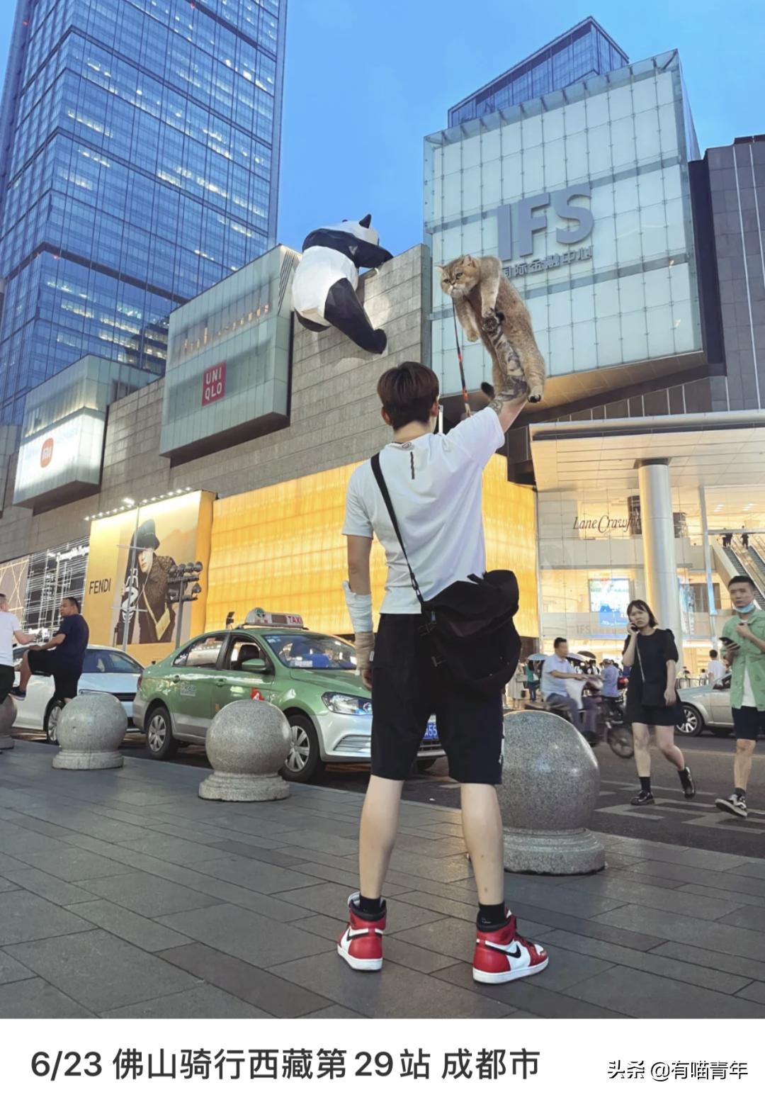 网红绑猫*藏西**骑行求关注,遭网友质疑回怼:比在家里刺激多了