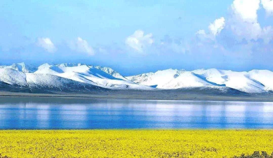 七城联动,7城联动开门见喜