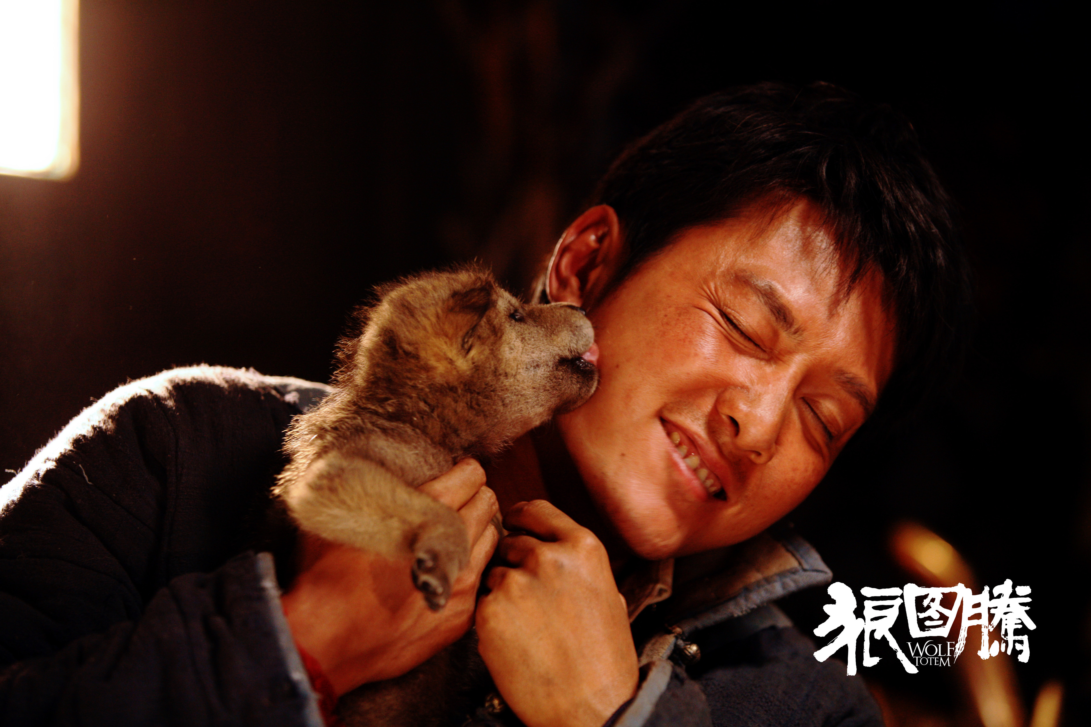 狼图腾2一口气看完,狼图腾2全片