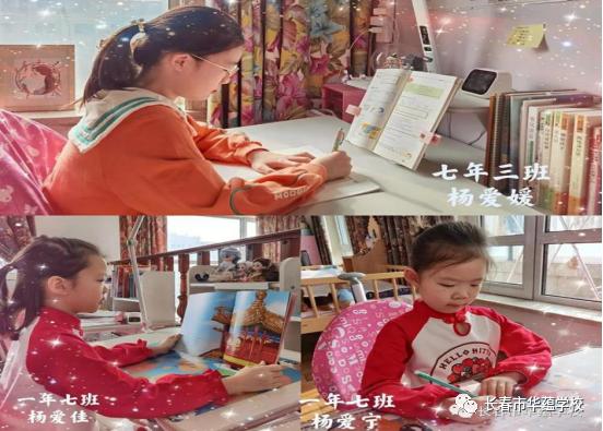 东师华蕴学校招生计划,东师华蕴学校在什么位置