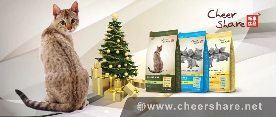 「畅享养宠」猫耳朵热得厉害，是发高烧了吗？