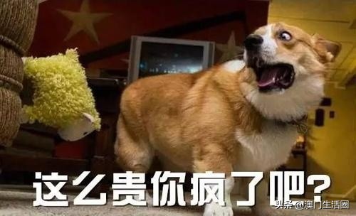 澳门猪肉,澳门猪肉价格