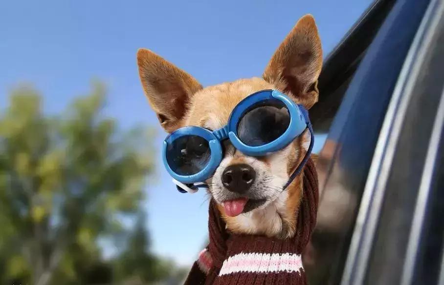 怎样快速训练思维15岁,如何开展有效的思维训练