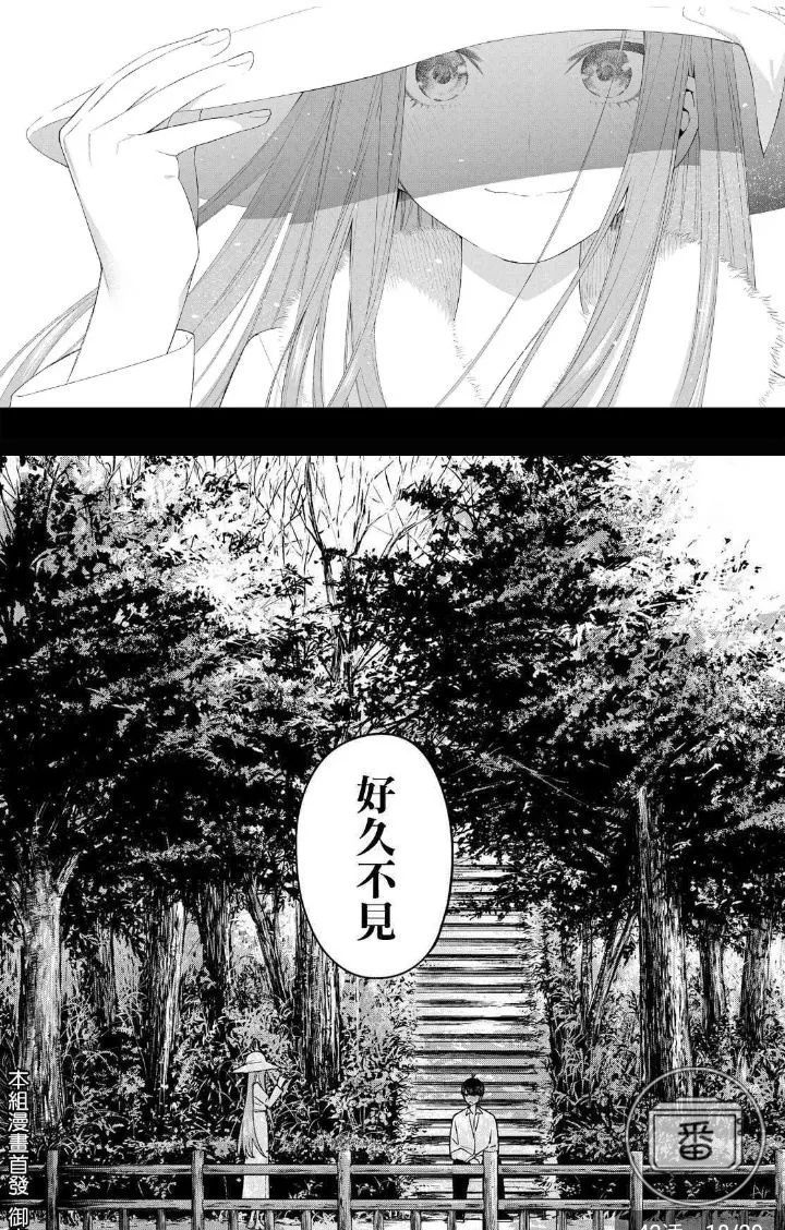 三玖天下第一！五月是天！走近1月新番里这五个性格迥异的少女