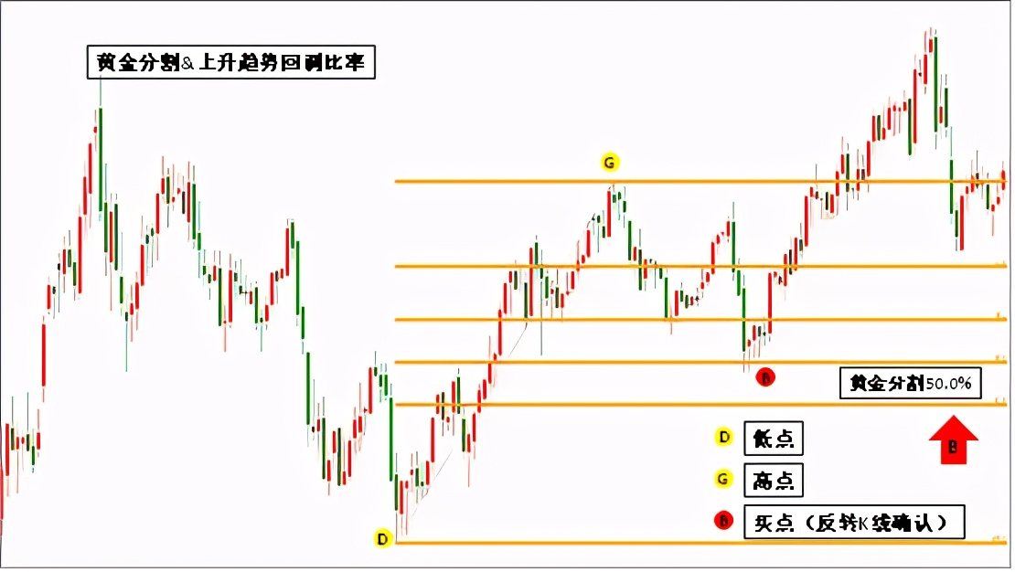 黄金分割线,黄金分割线的实战操作技巧