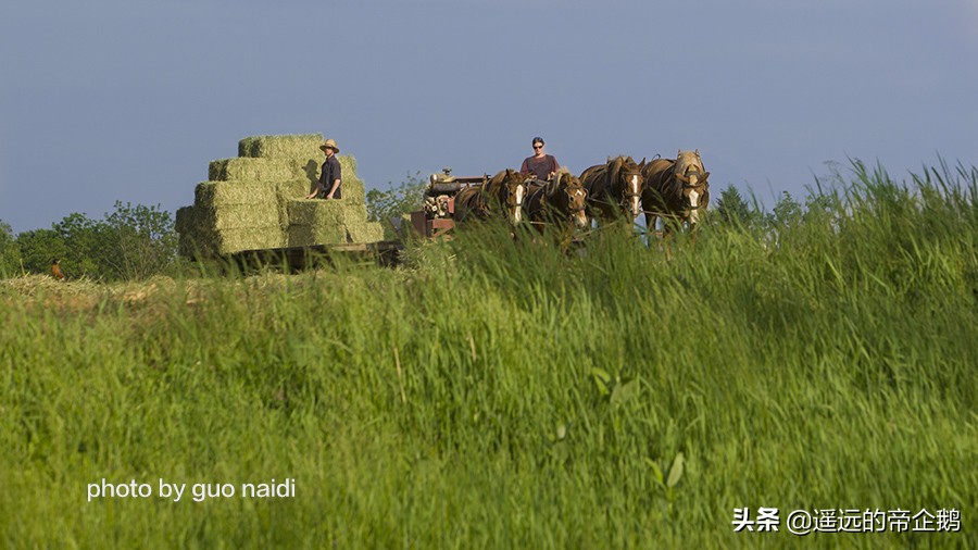 兰卡斯特宾夕法尼亚,兰卡斯特大学lancaster