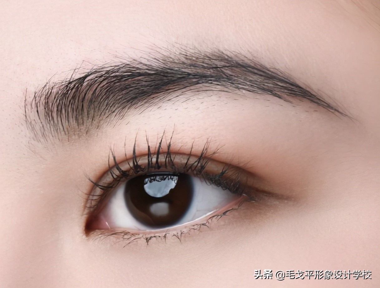 免胶睫毛保姆级教程,下睫毛怎么贴能放大双眼