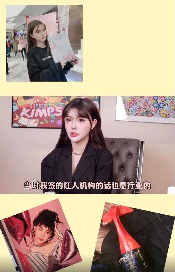 韩安冉自曝一年赚多少钱,韩安冉自曝每个月收入多少