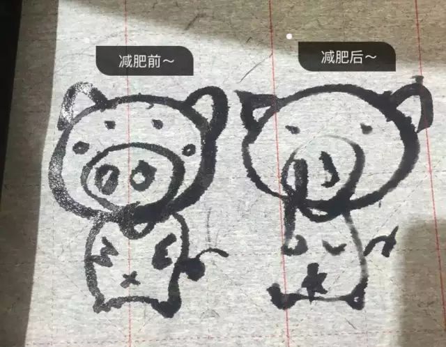 倩狐减肥瘦身可信吗,湖南倩狐减肥效果怎么样