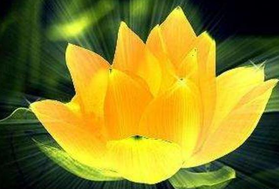 阿弥陀佛和如来的关系,观音菩萨和如来佛的关系是什么