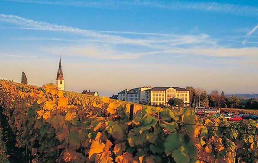法国这座城市被称为“葡萄酒都”，这里盛产的葡萄酒享誉全世界