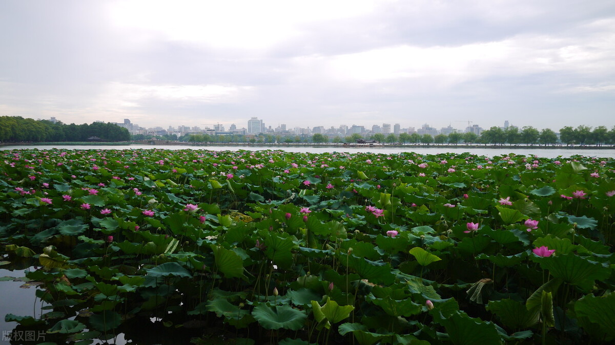 国内不收门票的十大景区,最值得一游的十个5a景区
