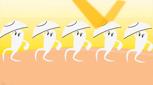 动物防晒VS人类防晒，食物链顶端的我们居然败了？！