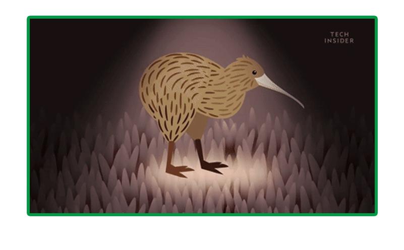 动物世界生蛋的过程,动物世界奇特的分娩方式