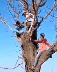 开心图文高清图片,开心图文原创