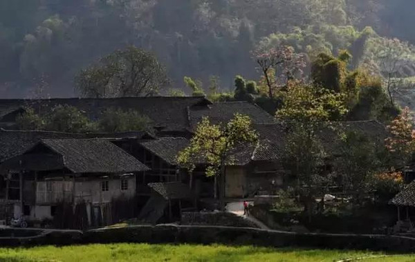 中国56个民族知识大全书籍,关于中国56个民族的知识