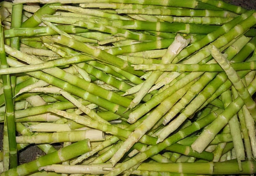 生长在深山老林，比苦瓜还苦，初春又上市，1斤20元，值得去采