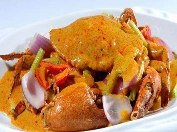 我的家乡海南,我的家乡海南岛