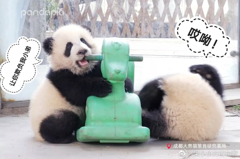 因为你们，“爱豆”的世界离我们不再远咯