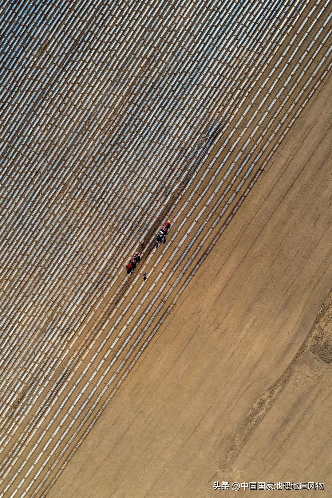 甘肃人的土豆,甘肃人的寿命长吗