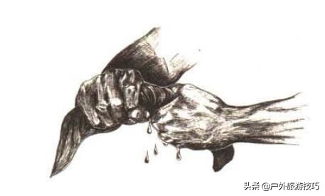 野外找水源最好的办法,野外四种找水方法