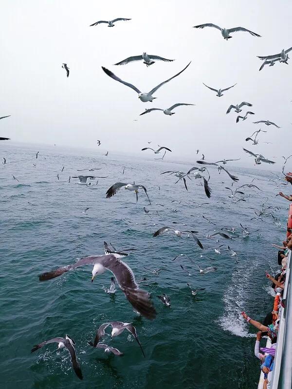 山东长岛自助游攻略,山东长岛游玩攻略视频