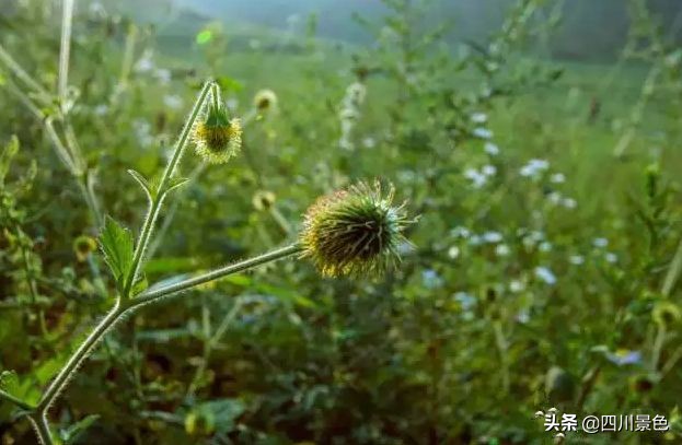这才是旅游值得去的地方,这才是旅游城市该有的样子