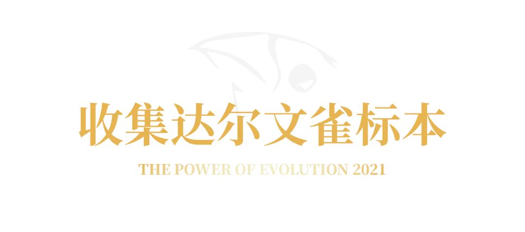 刘润概率思维,刘润打破认知