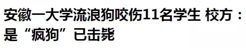 宿舍把小香猪养到300斤,大学生养小香猪