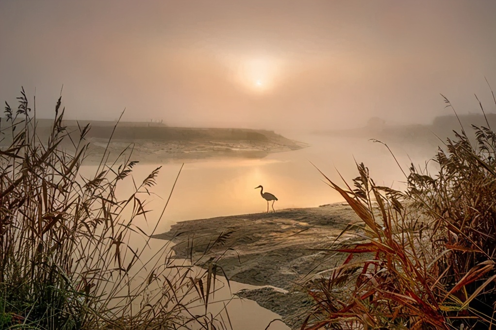 李白失意但是自我鼓励的诗句,李白坎坷失意的生平事迹概括
